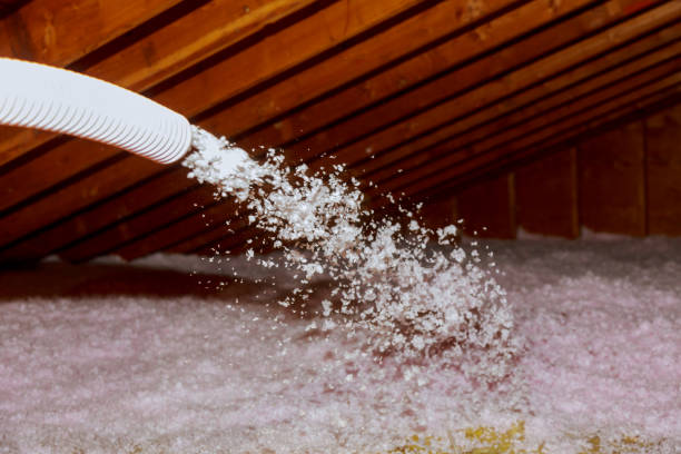 Best Home Insulation Services  in Winnsboro Mills, SC