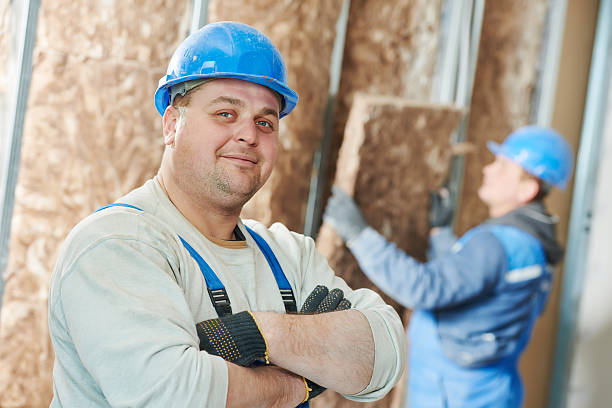 Best Professional Insulation Contractor  in Winnsboro Mills, SC