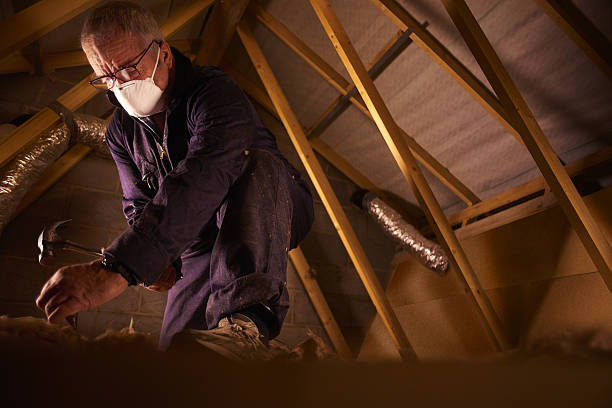 Best Commercial Insulation Contractor  in Winnsboro Mills, SC