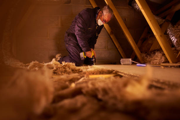 Best Insulation Replacement Services  in Winnsboro Mills, SC